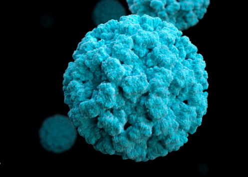 देश में तेज़ी से फेल रहा है Norovirus, जानिए क्या है लक्षण,कारण और इलाज