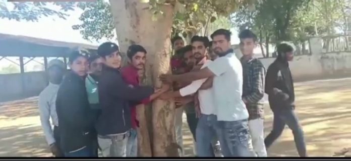 पेड़ से लिपटे छात्र