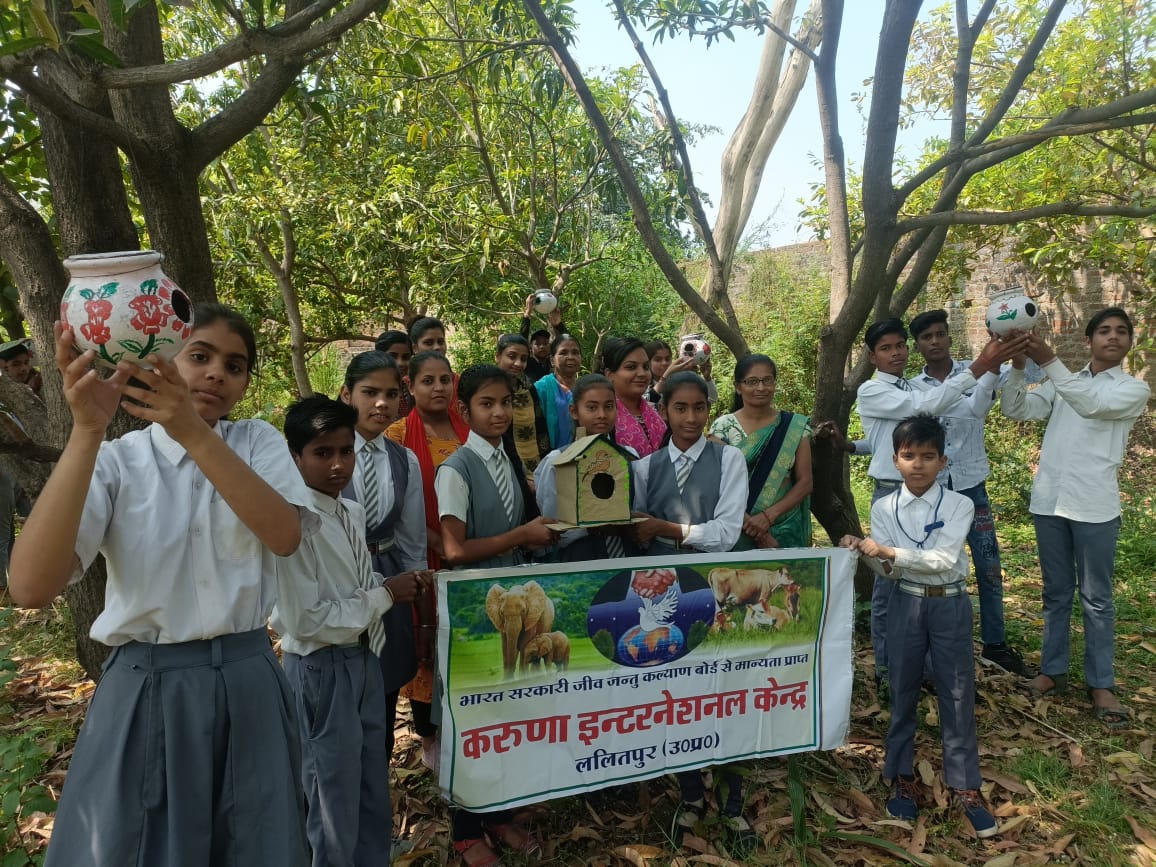 स्कूलों में गूंजेगी गौरैया की चीं-चीं की आवाज स्याद्वाद विद्यालय में बच्चों ने गौरैया घोंसले बनाए-