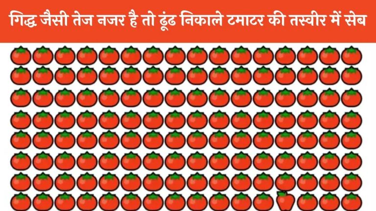 Optical Illusion : नजर के बादशाह हो तो ढूंढ लो टमाटर के बीच छिपा सेब, 90 फीसदी महारथी मान चुके हैं हार