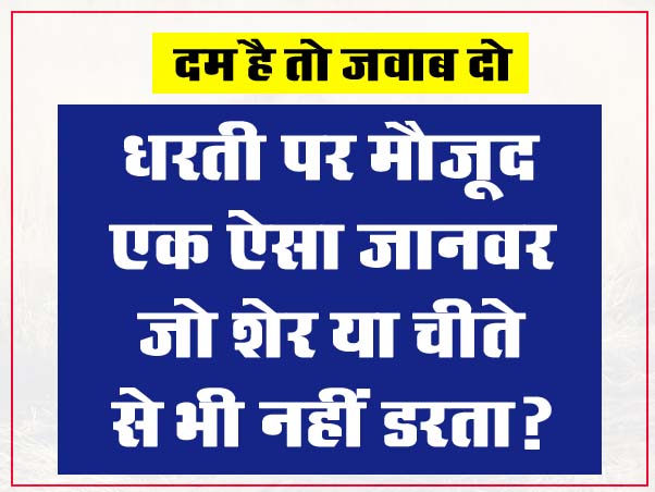 GK Quiz: धरती पर मौजूद एक ऐसा जानवर, जो शेर या चीते से भी नहीं डरता?