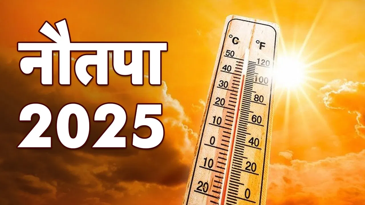 Nautapa 2025