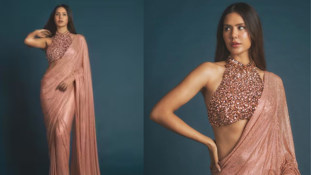 Sonam Bajwa Outfits