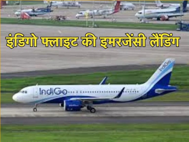 Indigo Flight