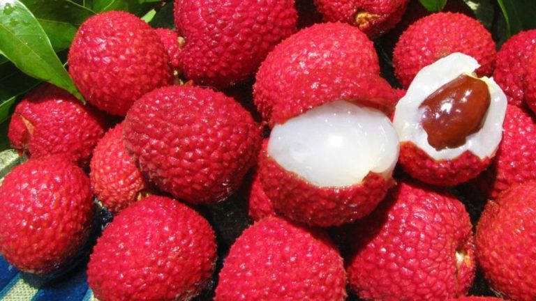 Lychee Real Or Fake