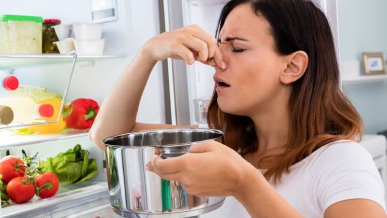 Summer Food Safety Tips