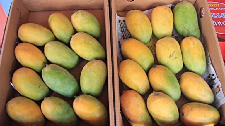 Mango Storage Tips