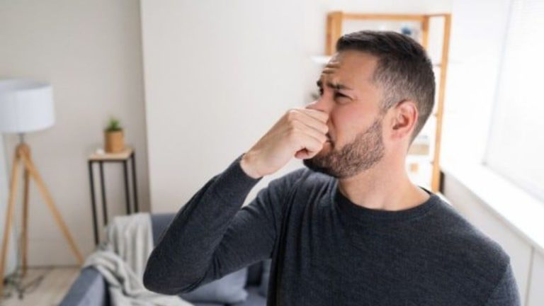 Home Remedies For Damp Smell