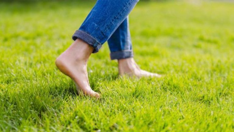 Morning Walks on Grass Benefits