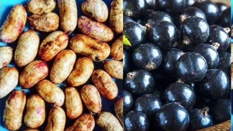 Jamun Seeds Face Mask