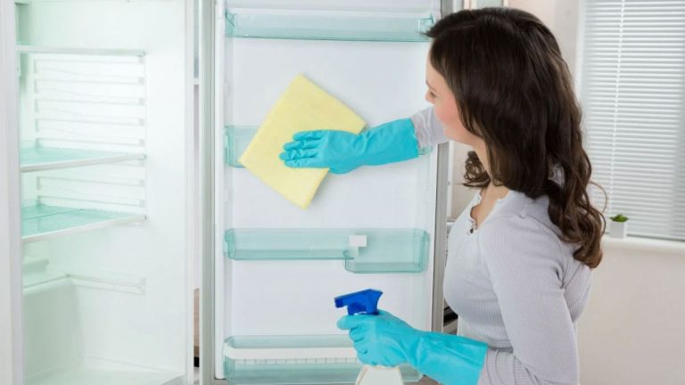 Fridge Cleaning Tips