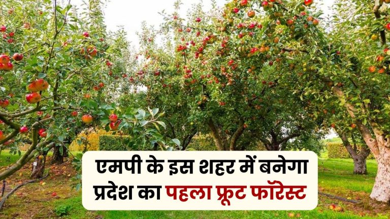 MP News