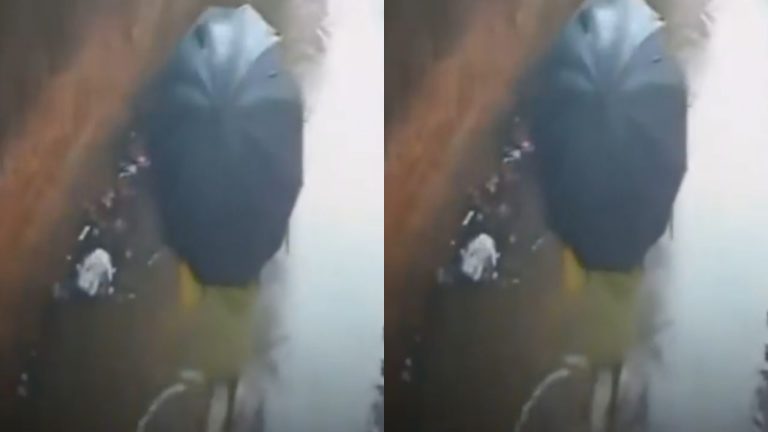 Elderly Woman Escapes Collapse Video