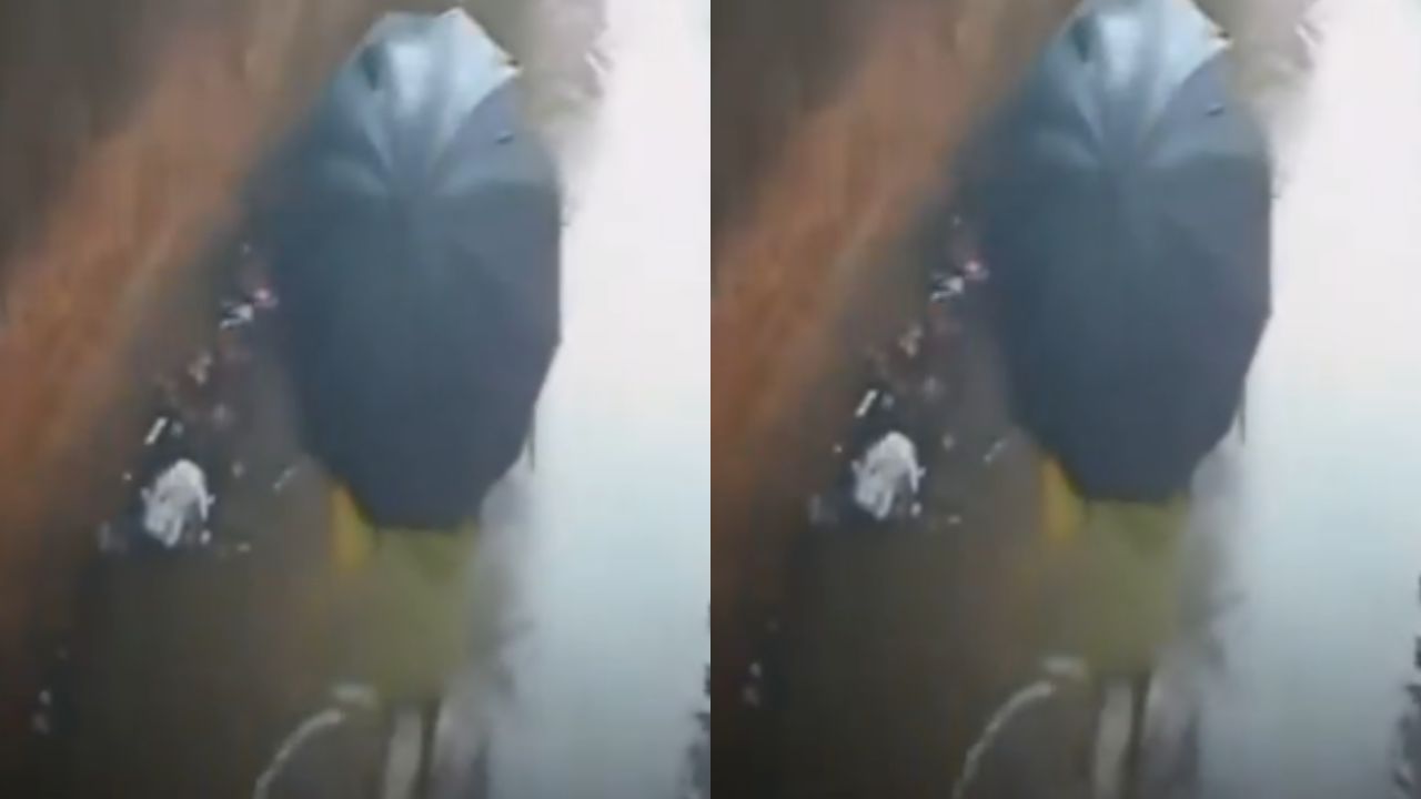 Elderly Woman Escapes Collapse Video