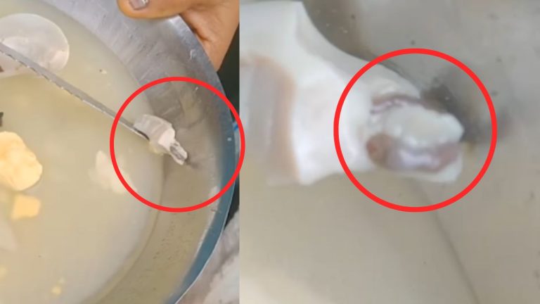 Woman Found Chick In Egg