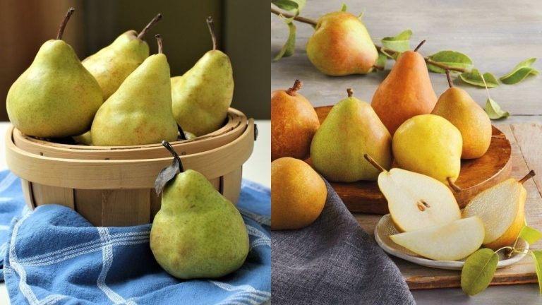 Benefits Of Pear