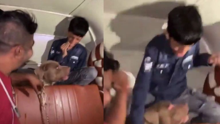 Pitbull Attacks Child Video