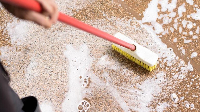House Cleaning Tips: