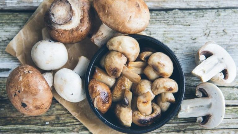 5 Healthy Mushroom