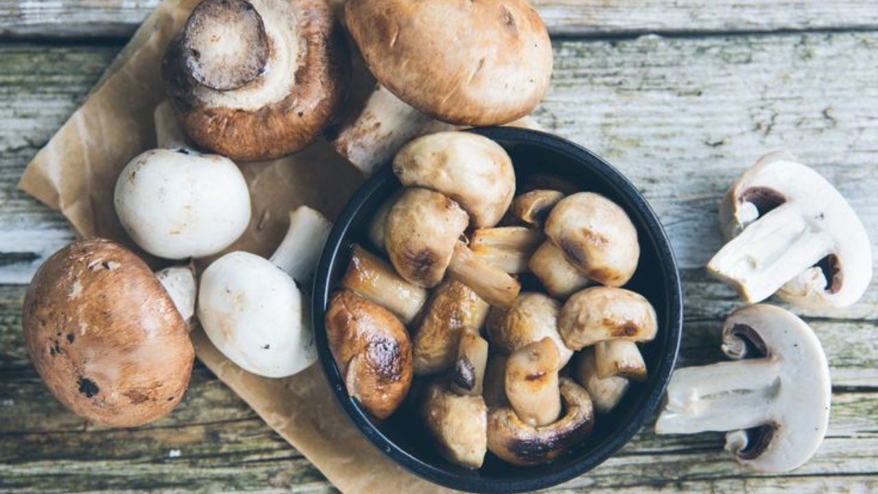 5 Healthy Mushroom