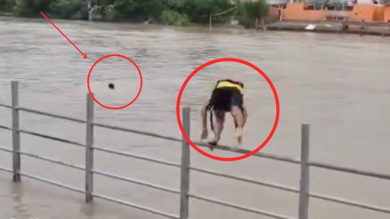 SDRF Rescues Devotee Video