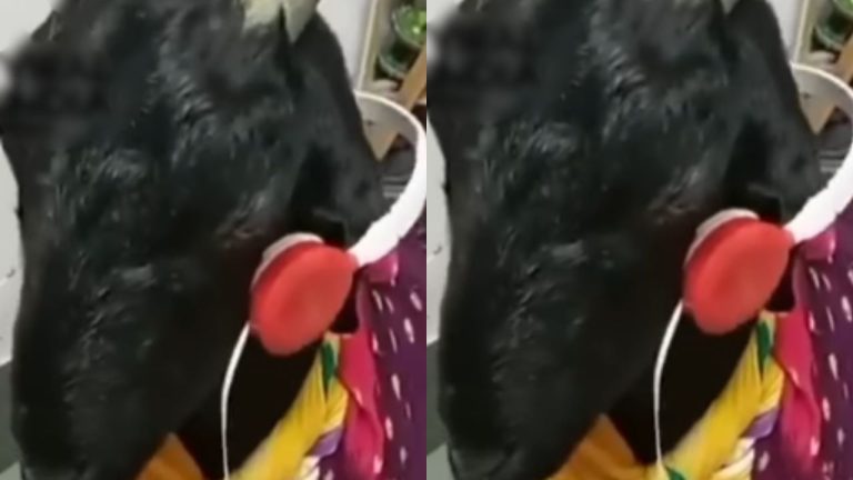 Goat Were Headphones Video