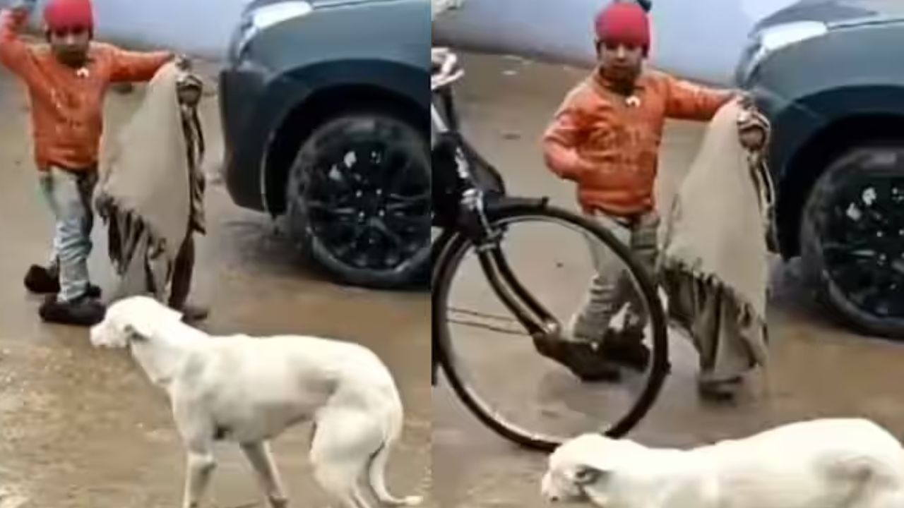 Boy Protects Her Sister