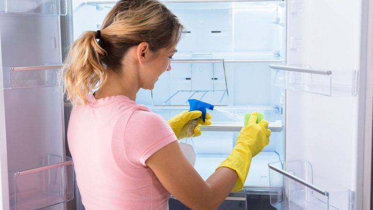 Fridge Cleaning Tips