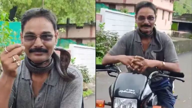 Snake Catcher With Snake Stunt