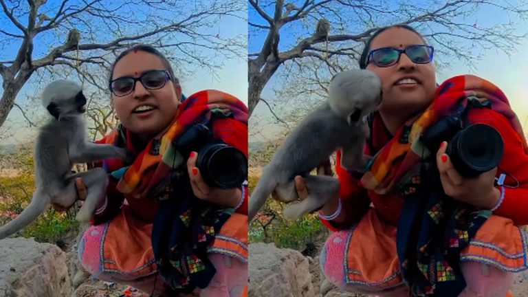 Baby Monkey Kissed Woman