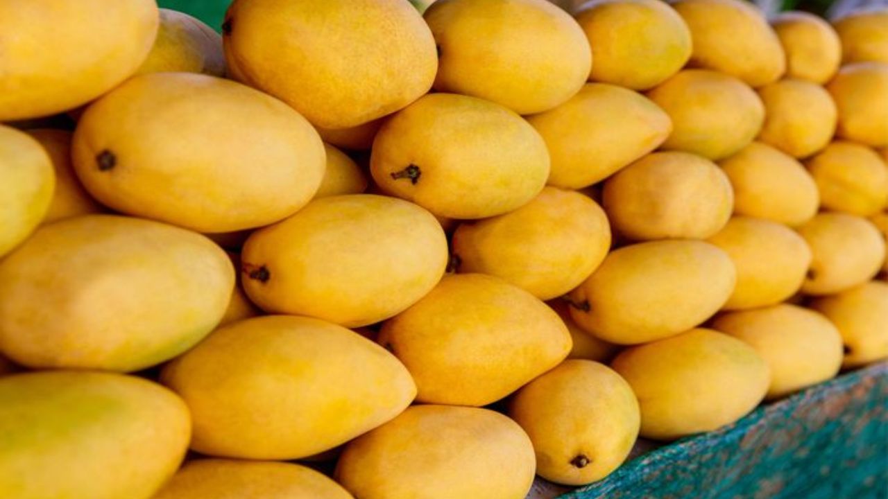National Mango Day 2025