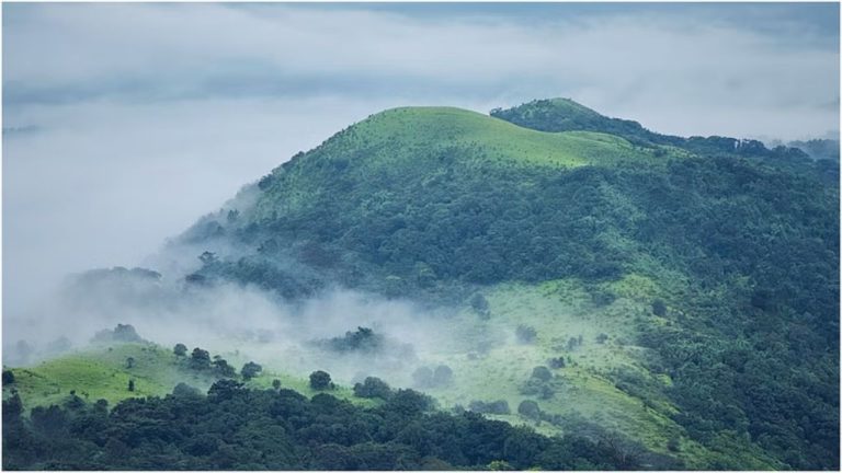 Monsoon Visit Tips: