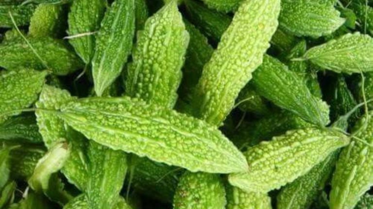 Bitter Gourd Bitterness Tips