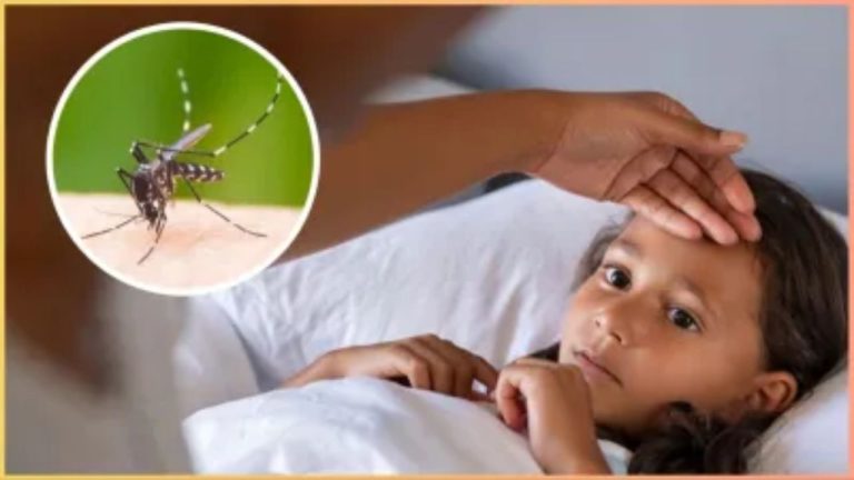 monsoon diseases in India