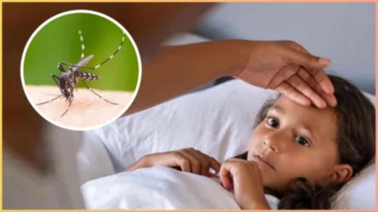 monsoon diseases in India