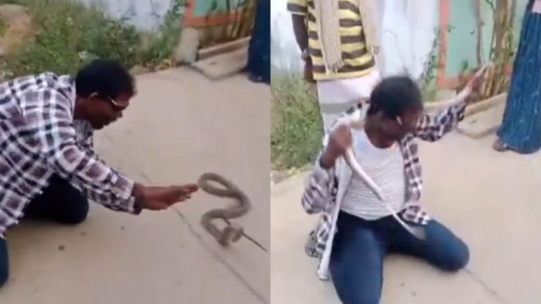 Man Funs With Cobra Snake