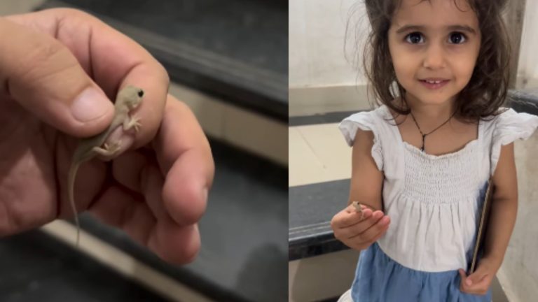 Child Daughter Viral Video