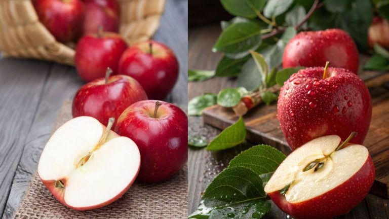 Tips To Identify For Real Apple
