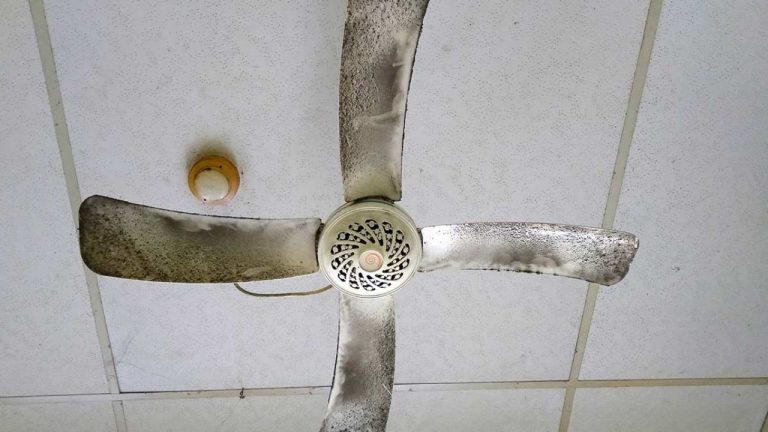 Tips To Dirty Fan