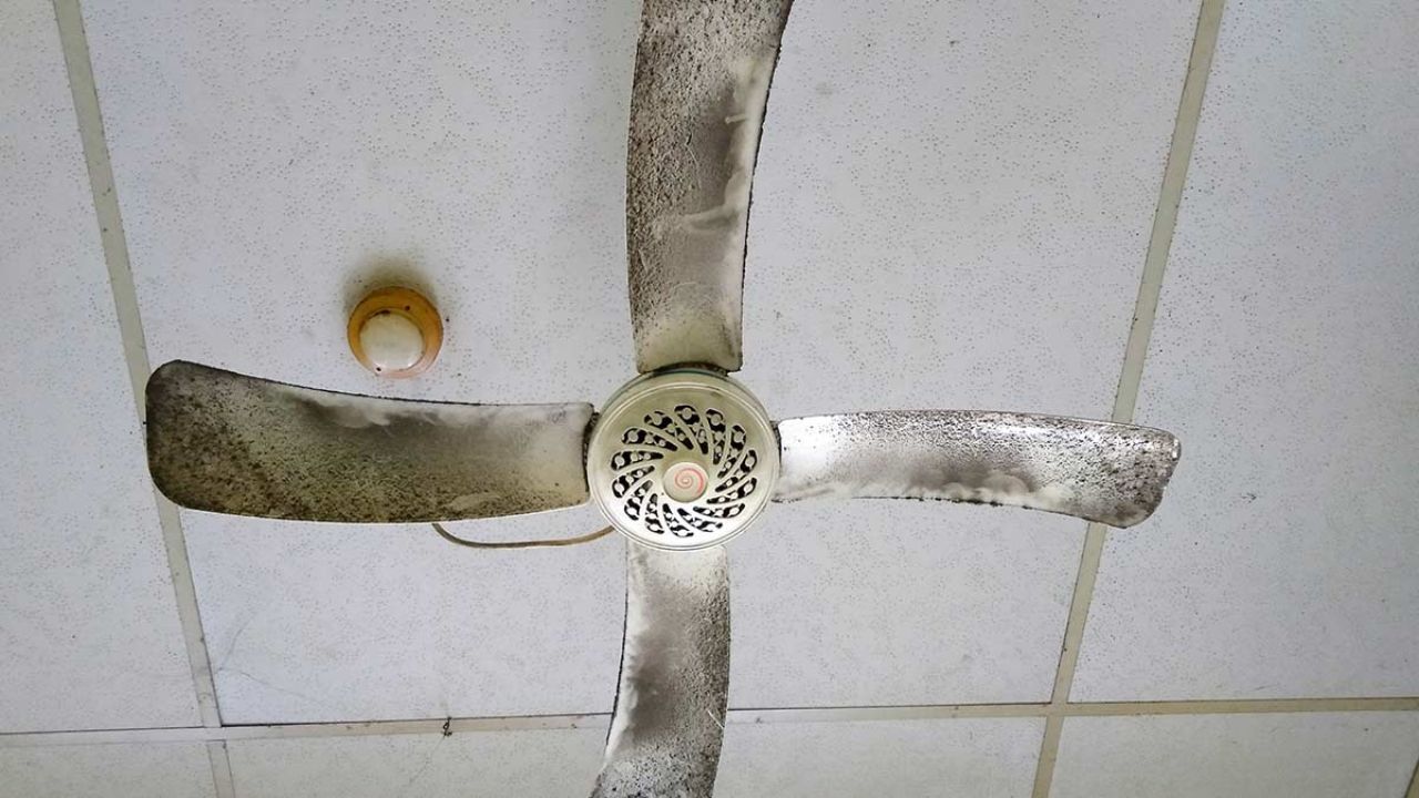Tips To Dirty Fan