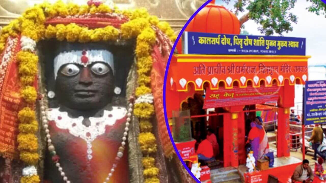 MP News