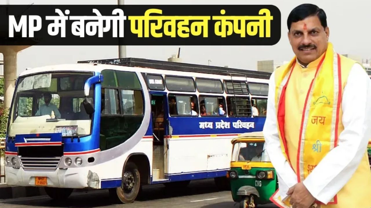 MP News