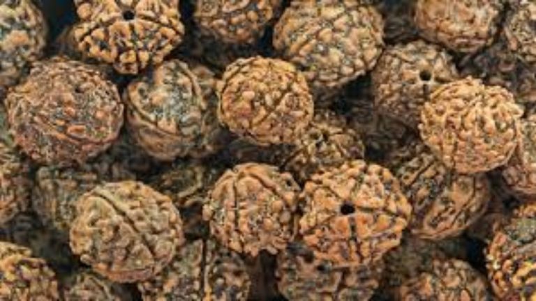 Rudraksha beads